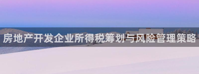 新宝rc_5w：房地产开发企业所得税筹划与风险管理策略