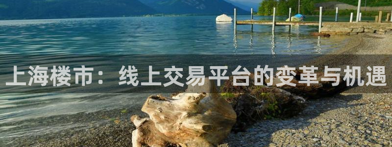 新宝5官方：上海楼市：线上交易平台的变革与机遇