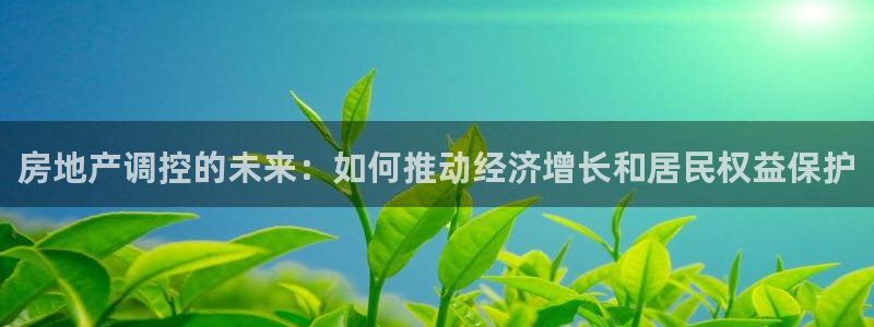 新宝5策略：房地产调控的未来：如何推动经济增长和居民权益保护