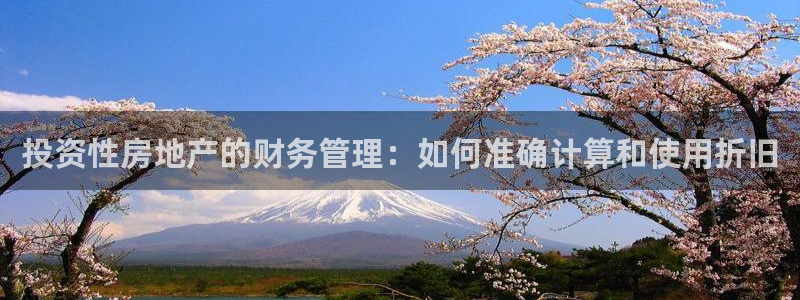 新宝5户端：投资性房地产的财务管理：如何准确计算和使用折旧