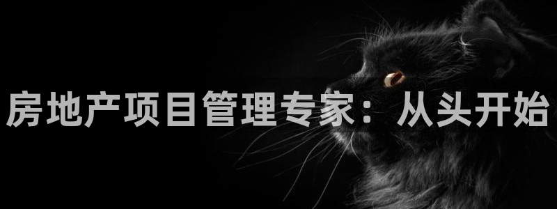 新宝5 测速：房地产项目管理专家：从头开始