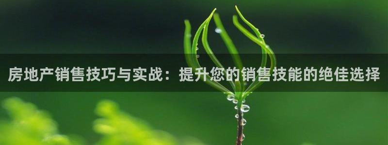 新宝5登录地址：房地产销售技巧与实战：提升您的销售技能的绝佳