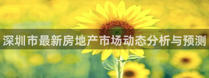 新宝5平台登录：深圳市最新房地产市场动态分析与预测
