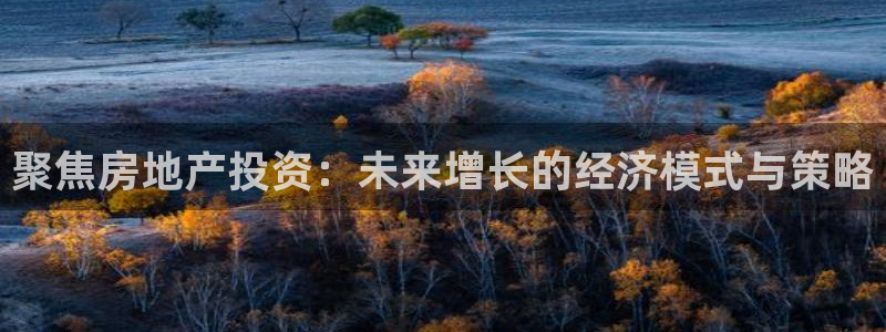 新宝5登录入口网址：聚焦房地产投资：未来增长的经济模式与策略