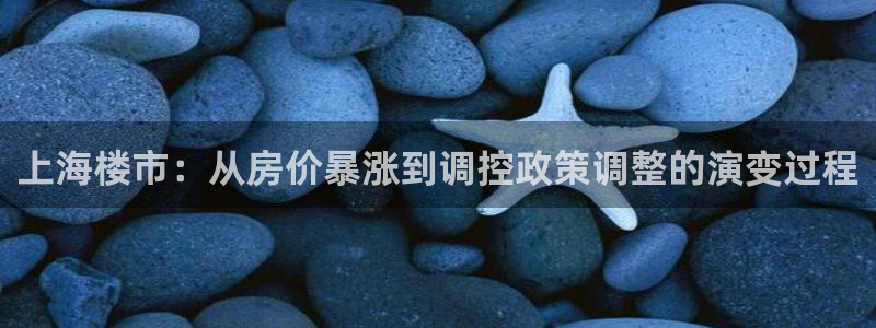 新宝股东张听2 5 5：上海楼市：从房价暴涨到调控政策调整的