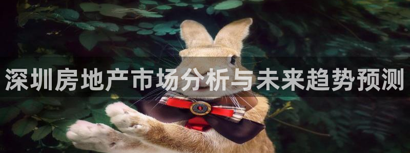 新宝5平台登录注册：深圳房地产市场分析与未来趋势预测