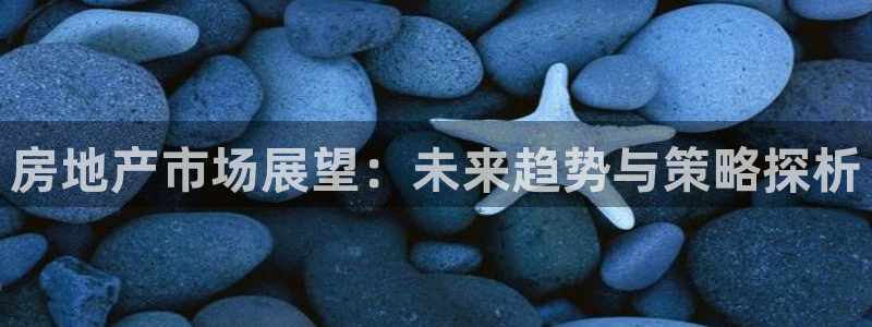 新宝5湫333 00：房地产市场展望：未来趋势与策略探析