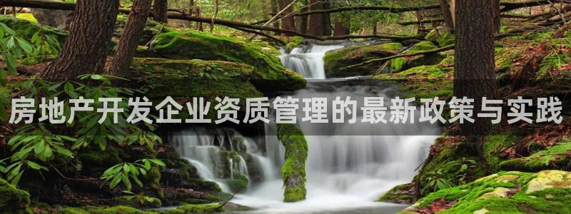 新宝5官网：房地产开发企业资质管理的最新政策与实践
