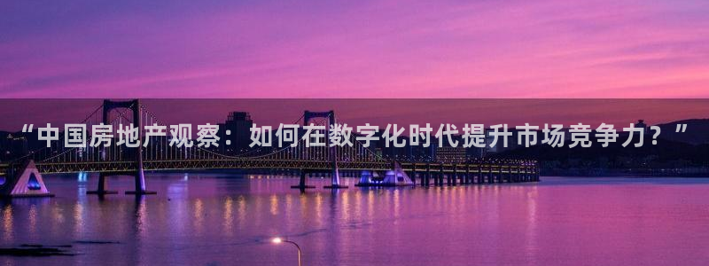 新宝5湫333 00：“中国房地产观察：如何在数字化时代提升