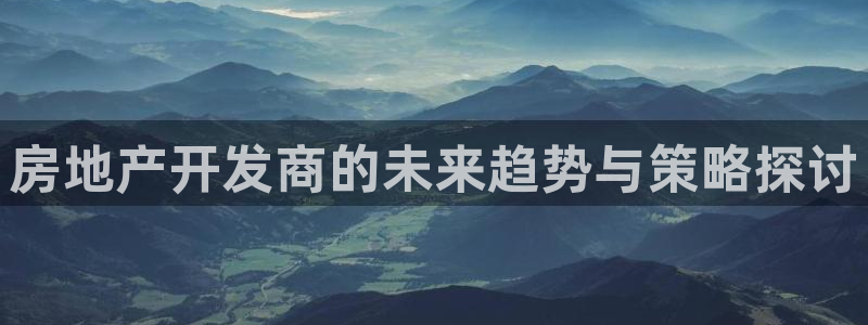 新宝rc_5w：房地产开发商的未来趋势与策略探讨