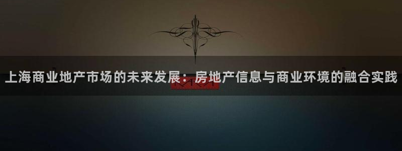 新宝堂新会陈皮5年：上海商业地产市场的未来发展：房地产信息与