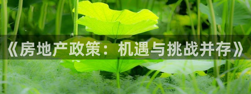 新宝5：《房地产政策：机遇与挑战并存》
