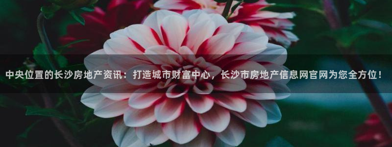 新宝5手机版：中央位置的长沙房地产资讯：打造城市财富中心，长