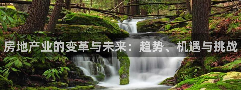 新宝5登录入口网址：房地产业的变革与未来：趋势、机遇与挑战