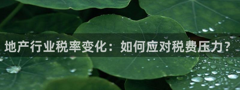 新宝5招商：地产行业税率变化：如何应对税费压力？