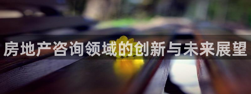 新宝5官网app：房地产咨询领域的创新与未来展望