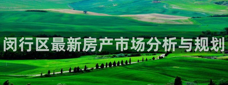 新宝5电脑：闵行区最新房产市场分析与规划