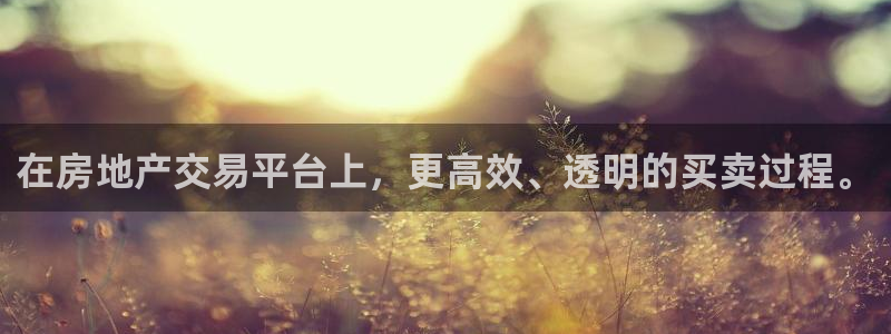 新宝5手机平台登陆：在房地产交易平台上，更高效、透明的买卖过