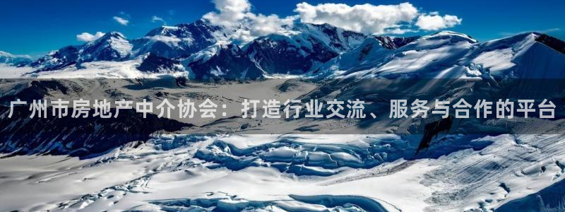 新宝娱乐5：广州市房地产中介协会：打造行业交流、服务与合作的