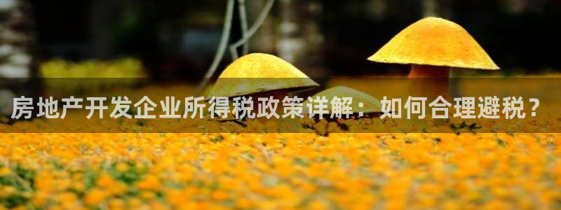 新宝5郑74OOO5：房地产开发企业所得税政策详解：如何合理