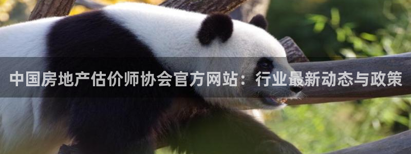 新宝新5：中国房地产估价师协会官方网站：行业最新动态与政策
