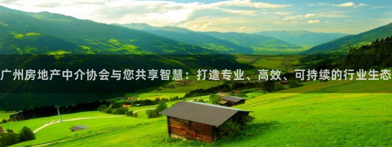 新宝5 代理：广州房地产中介协会与您共享智慧：打造专业、高效