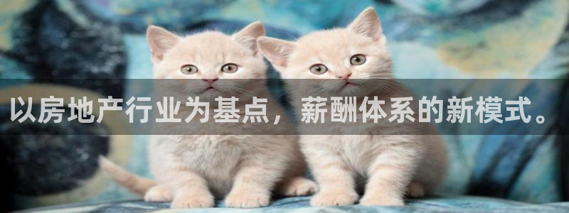 新宝5娱乐注：以房地产行业为基点，薪酬体系的新模式。