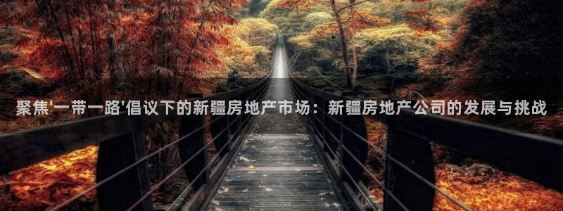 新宝5导师：聚焦\'一带一路\'倡议下的新疆房地产市场：新疆
