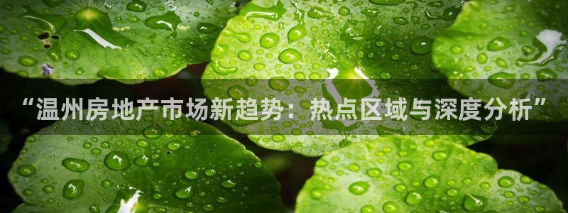 新宝5吕74OOO5：“温州房地产市场新趋势：热点区域与深度