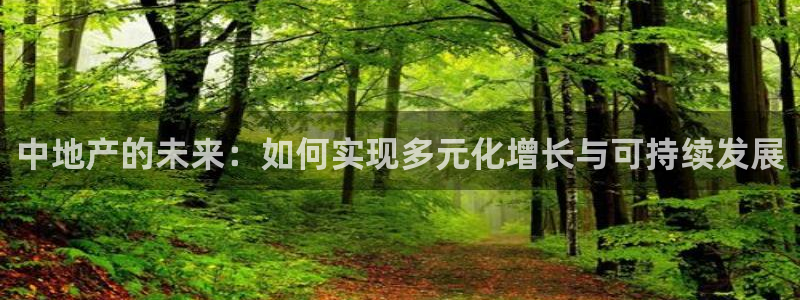 新宝5手机平台登陆：中地产的未来：如何实现多元化增长与可持续