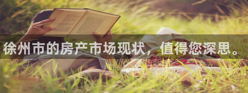 新宝5线路登录检测：徐州市的房产市场现状，值得您深思。