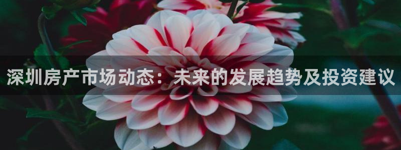 新宝5手机版：深圳房产市场动态：未来的发展趋势及投资建议