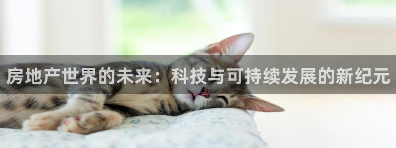 新宝股东瞧听2 5 5：房地产世界的未来：科技与可持续发展的