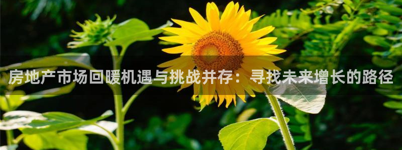 新宝5谠631257：房地产市场回暖机遇与挑战并存：寻找未来