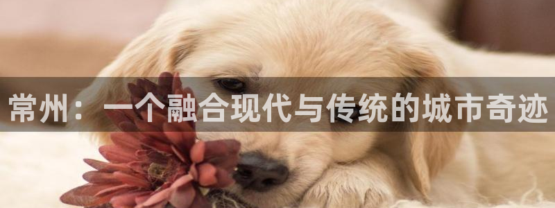 新宝5下载官方：常州：一个融合现代与传统的城市奇迹