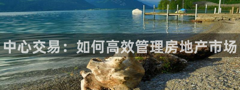 新宝5日谢29999：中心交易：如何高效管理房地产市场