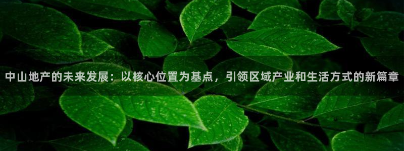 新宝5为啥开：中山地产的未来发展：以核心位置为基点，引领区域