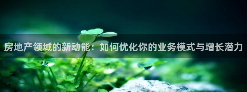 新宝5天：房地产领域的新动能：如何优化你的业务模式与增长潜力