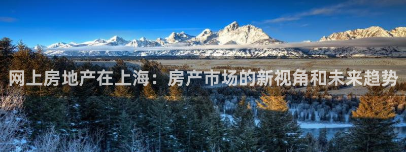 新宝5手机平台登陆：网上房地产在上海：房产市场的新视角和未来