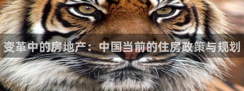 新宝5手机版：变革中的房地产：中国当前的住房政策与规划