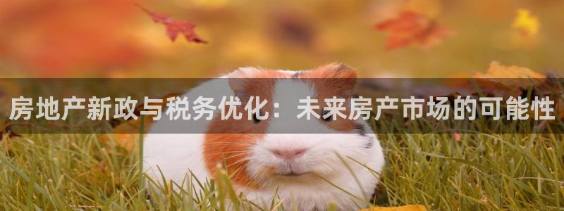 新宝5娱乐登录：房地产新政与税务优化：未来房产市场的可能性