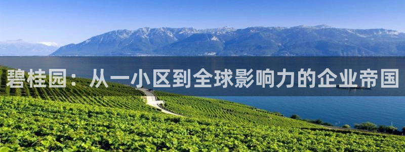新宝5_测：碧桂园：从一小区到全球影响力的企业帝国