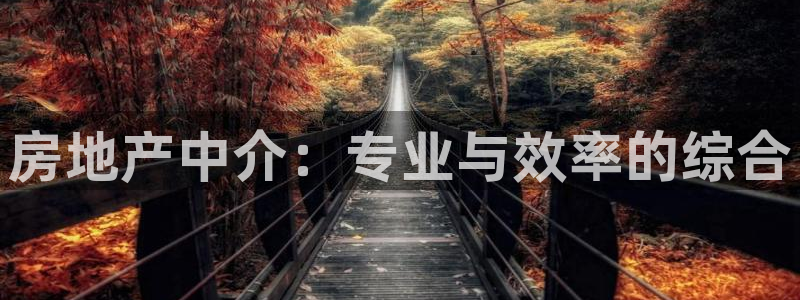 新宝5登录入口网址：房地产中介：专业与效率的综合
