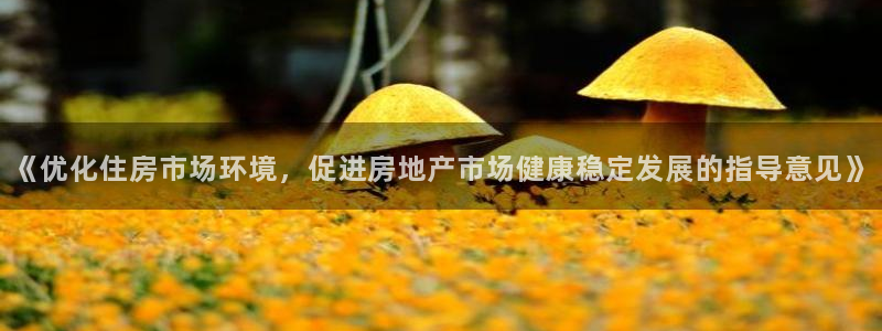 新宝cR一5：《优化住房市场环境，促进房地产市场健康稳定发展