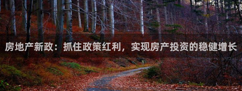新宝5线路登录：房地产新政：抓住政策红利，实现房产投资的稳健