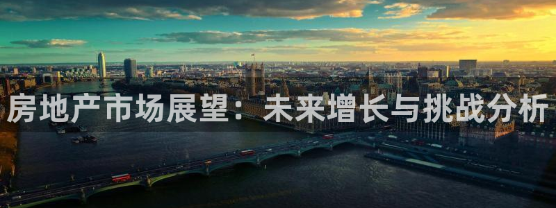 新宝5后：房地产市场展望：未来增长与挑战分析
