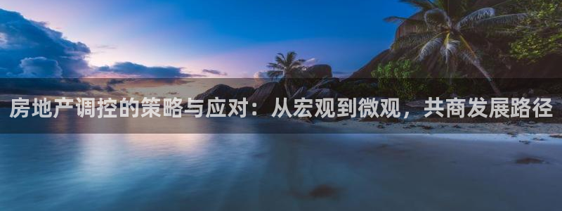 新宝5日：房地产调控的策略与应对：从宏观到微观，共商发展路径