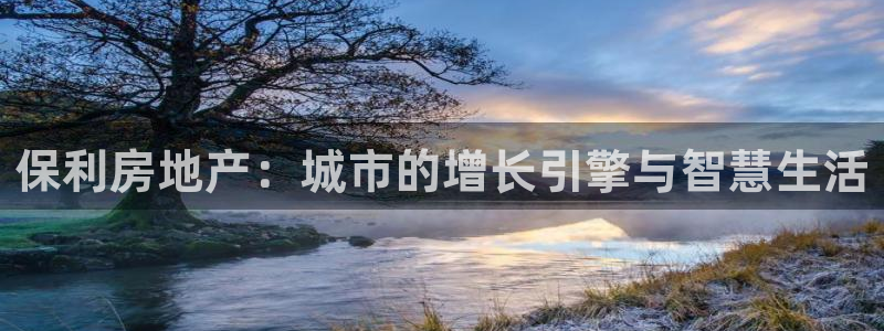 新宝5源码：保利房地产：城市的增长引擎与智慧生活