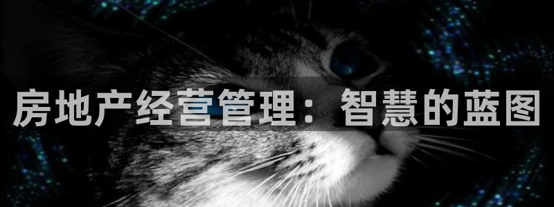新宝5苹果手机下载