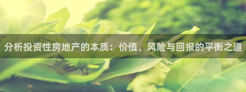 新宝5 代理：分析投资性房地产的本质：价值、风险与回报的平衡